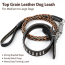 Dog leash 2