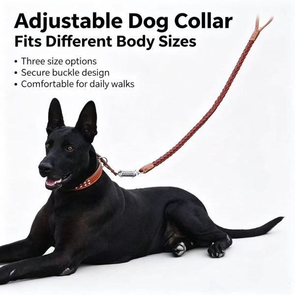 Dog leash 4