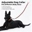 Dog leash 4