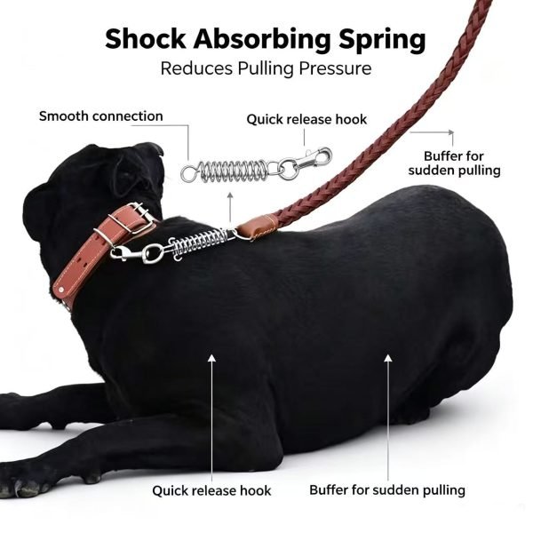 Dog leash 5