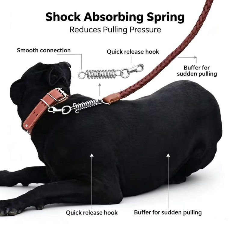 Shock Absorbing Leather Dog Leash & Adjustable Stud Collar Set