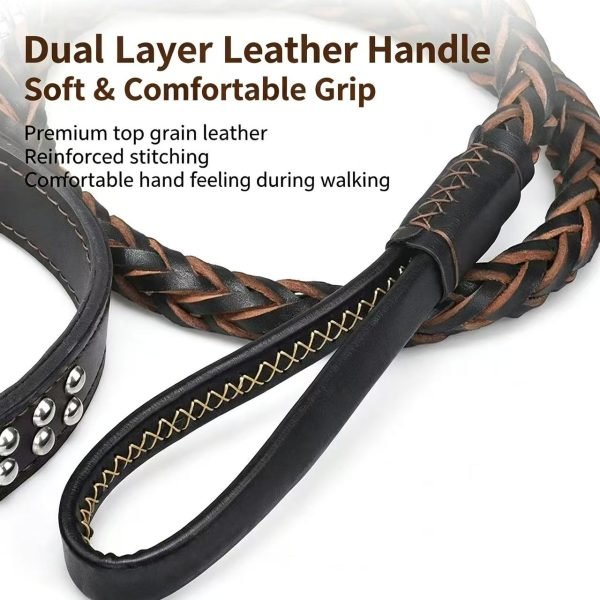 Dog leash 6