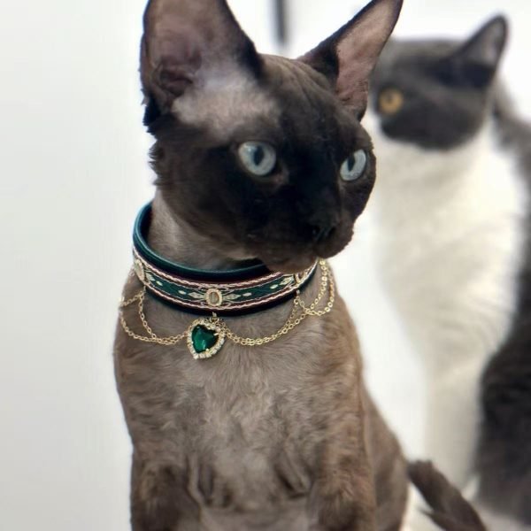 Gem Decor Pet Collar for Cats & Kitten 5