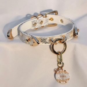 High-end Snake Print Dog Collar & Leash Set