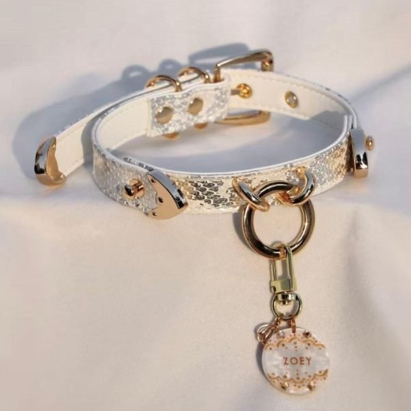 High-end Snake Print Dog Collar & Leash Set 1