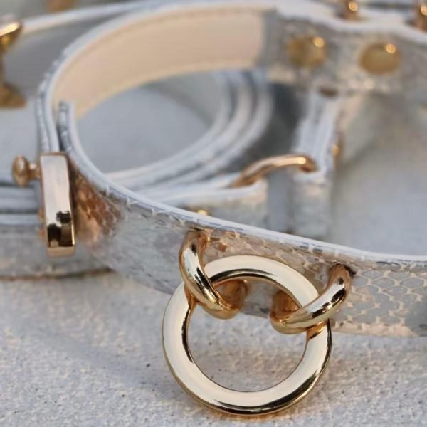 High-end Snake Print Dog Collar & Leash Set 4
