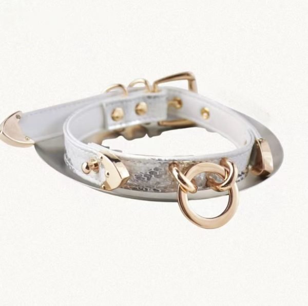 High-end Snake Print Dog Collar & Leash Set 5