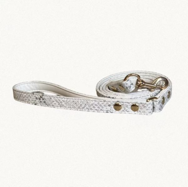 High-end Snake Print Dog Collar & Leash Set 6