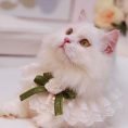 Lace Pet Bib Collar Bow Tie 4