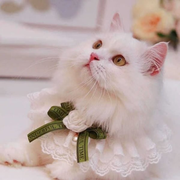 Lace Pet Bib Collar Bow Tie 4
