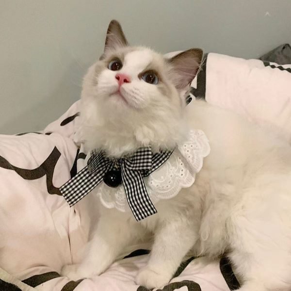 Lovely Pet Neck Scarf Collar 1