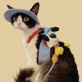 Pet Cat Harness Leash Sun Hat Set 1