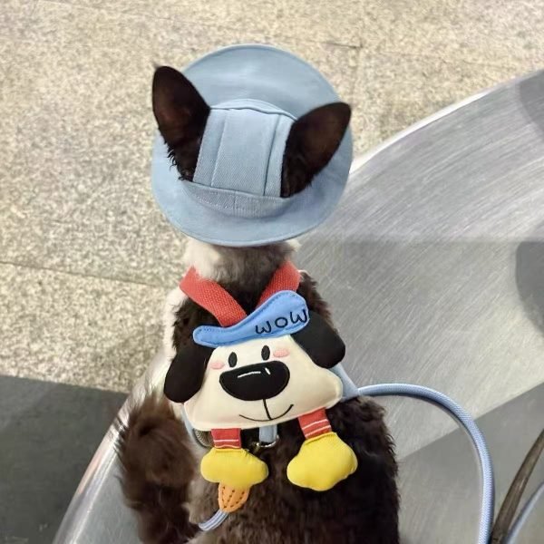 Pet Cat Harness Leash Sun Hat Set 2
