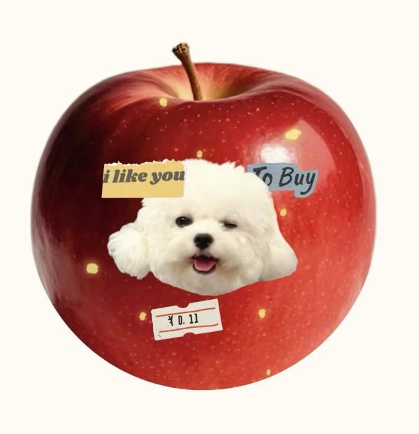 Pet customization 6 Pet customization 6