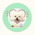 Pet customization 7