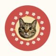 Pet customization 8