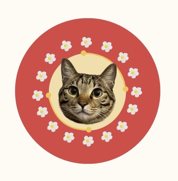 Pet customization 8 Pet customization 8