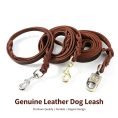 dog leash