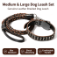 dog leash1