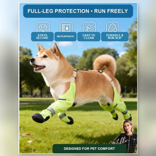 anzelae-dog-leg-protectors-02-full-leg-protection
