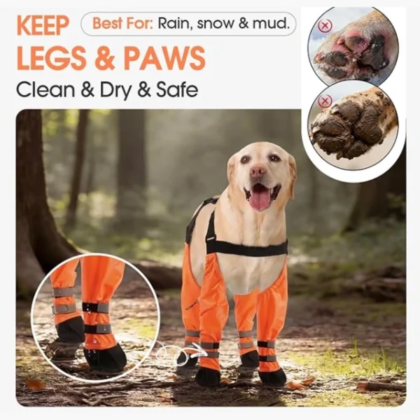 anzelae-dog-leg-protectors-09-clean-dry-safe