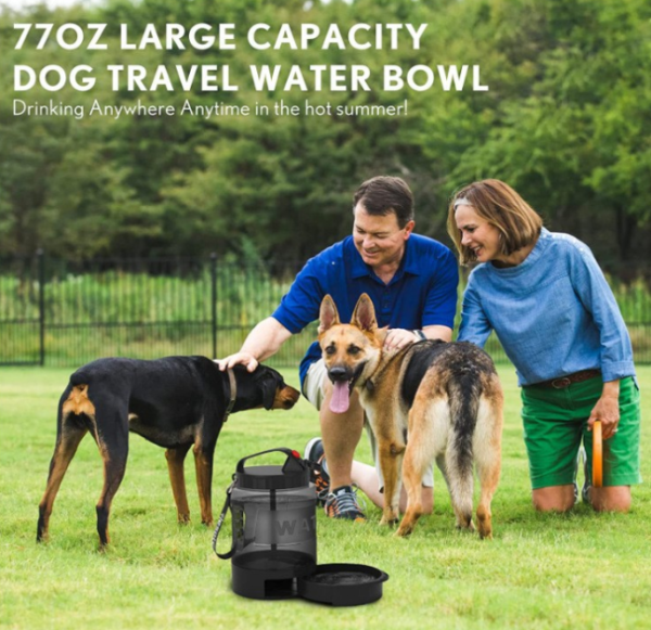 anzelae-dog-water-dispenser-06-dog-park