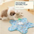anzelae-interactive-cat-toy-cats-playing