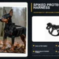 spiked harness for small dogs