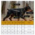 anzelae-spiked-dog-harness-measurement-guide
