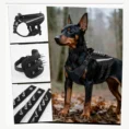 anzelae-spiked-dog-harness-outdoor-fit